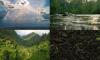 GLOBE Anniversary Broadcast Earth Day | 22 April 2026