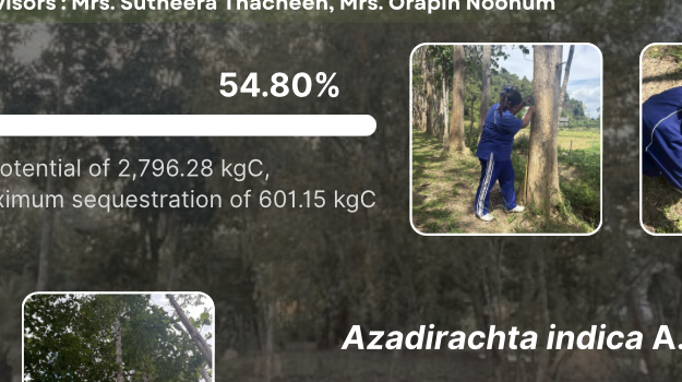 The image shows the percentage comparison of carbon sequestration in the biomass of Tectona grandis L.f.and Azadirachta indica A.Juss. It can be seen that Tectona grandis L.f. can sequester carbon better than Azadirachta indica A.Juss.