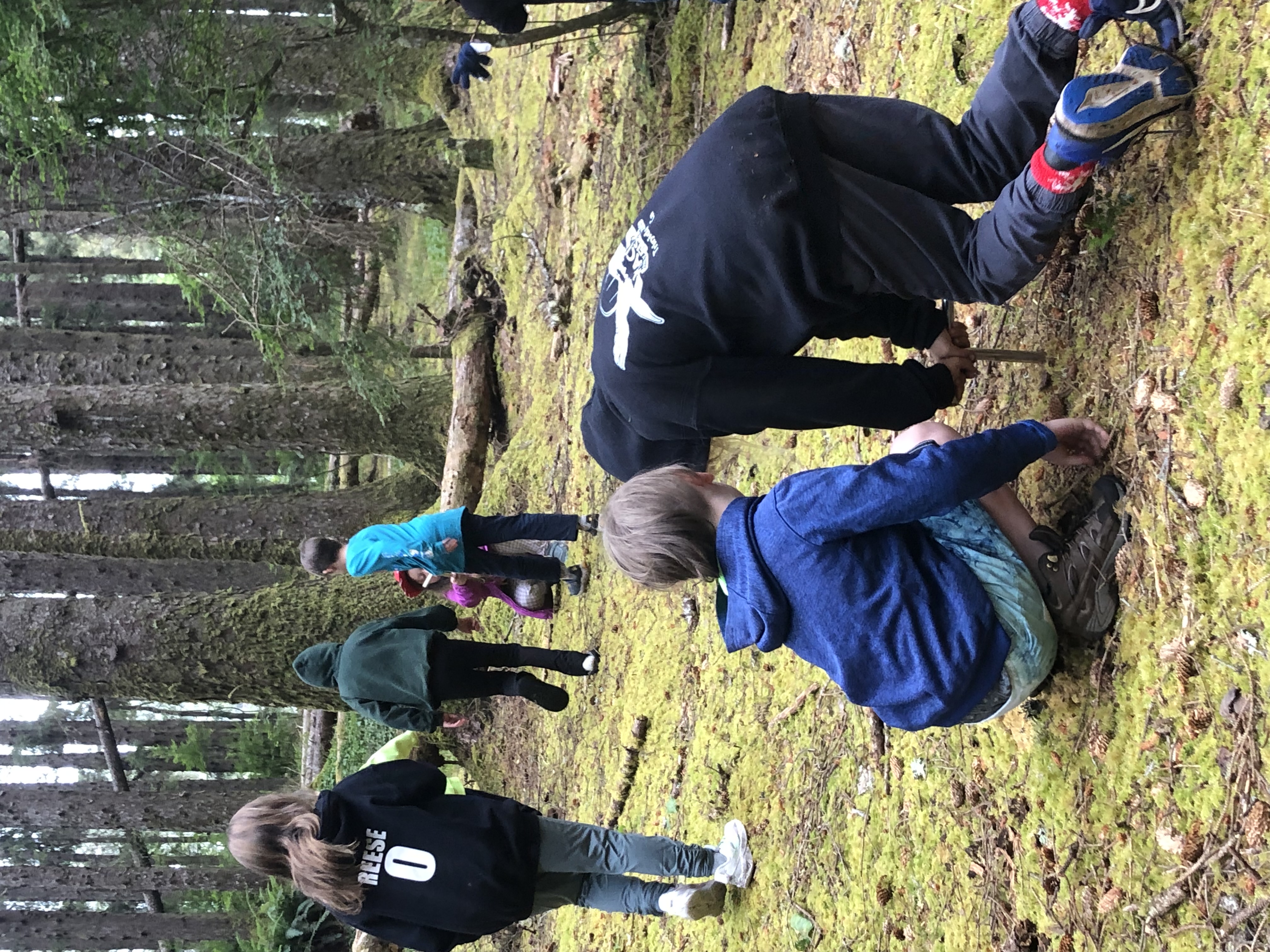 groups of youth explore soils with a soil auger and other tools in a forest with mossy ground