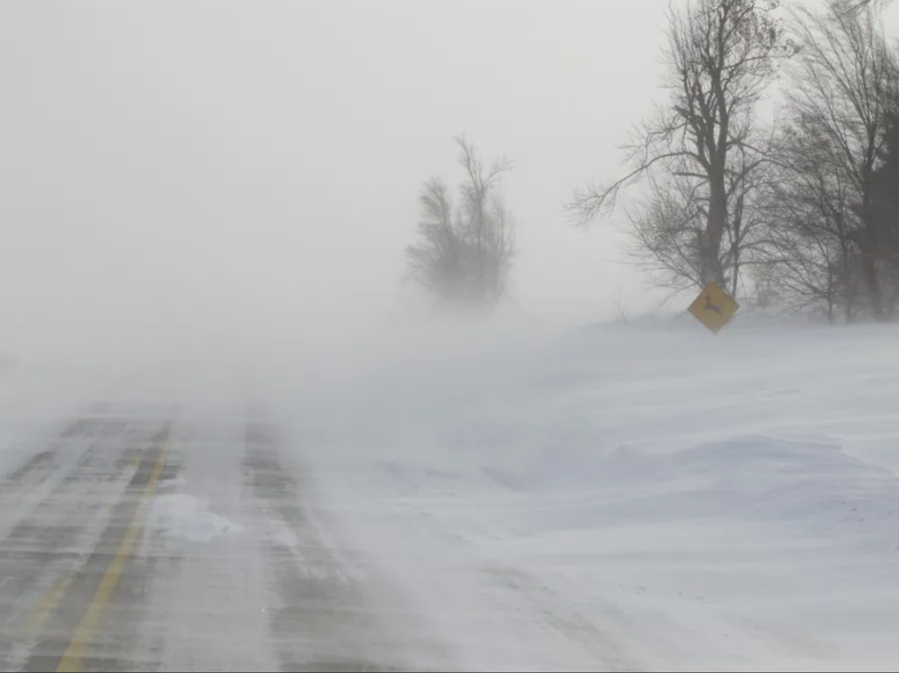 Snow blows across a road and obscures visibility. Trees and drifted snow are beside the road.