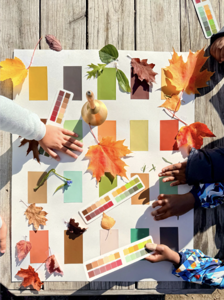 a chart of colored rectangles sits on the ground; students (out of view, only their arms are shown) gather around the chart with leaves of different tree species to match their colors to the chart colors. a few GLOBE color guide rulers are visible